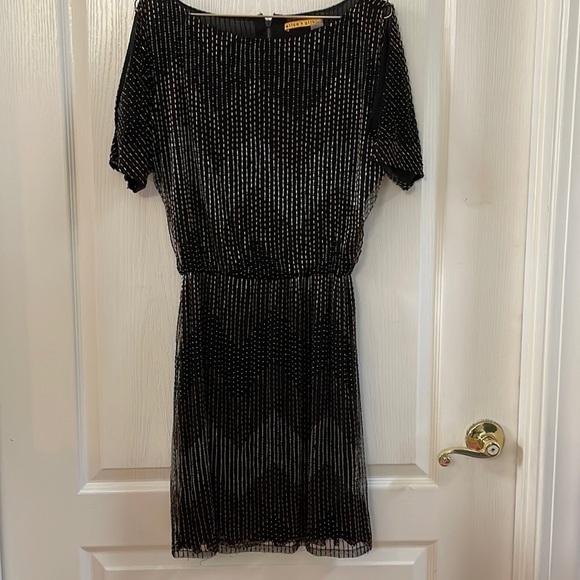 Alice + Olivia Dresses & Skirts - NYE Alice + Olivia Silk beaded cocktail dress size S